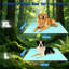 Pet Bed-1177820416