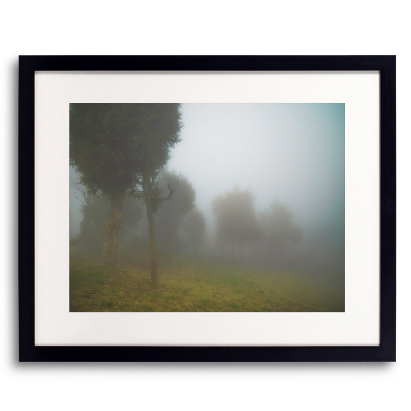 Landscape & Nature Print by Mark Paulda, Black Framed Paper, 16" H x 20" W