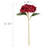Hydrangea Stem-1158631097