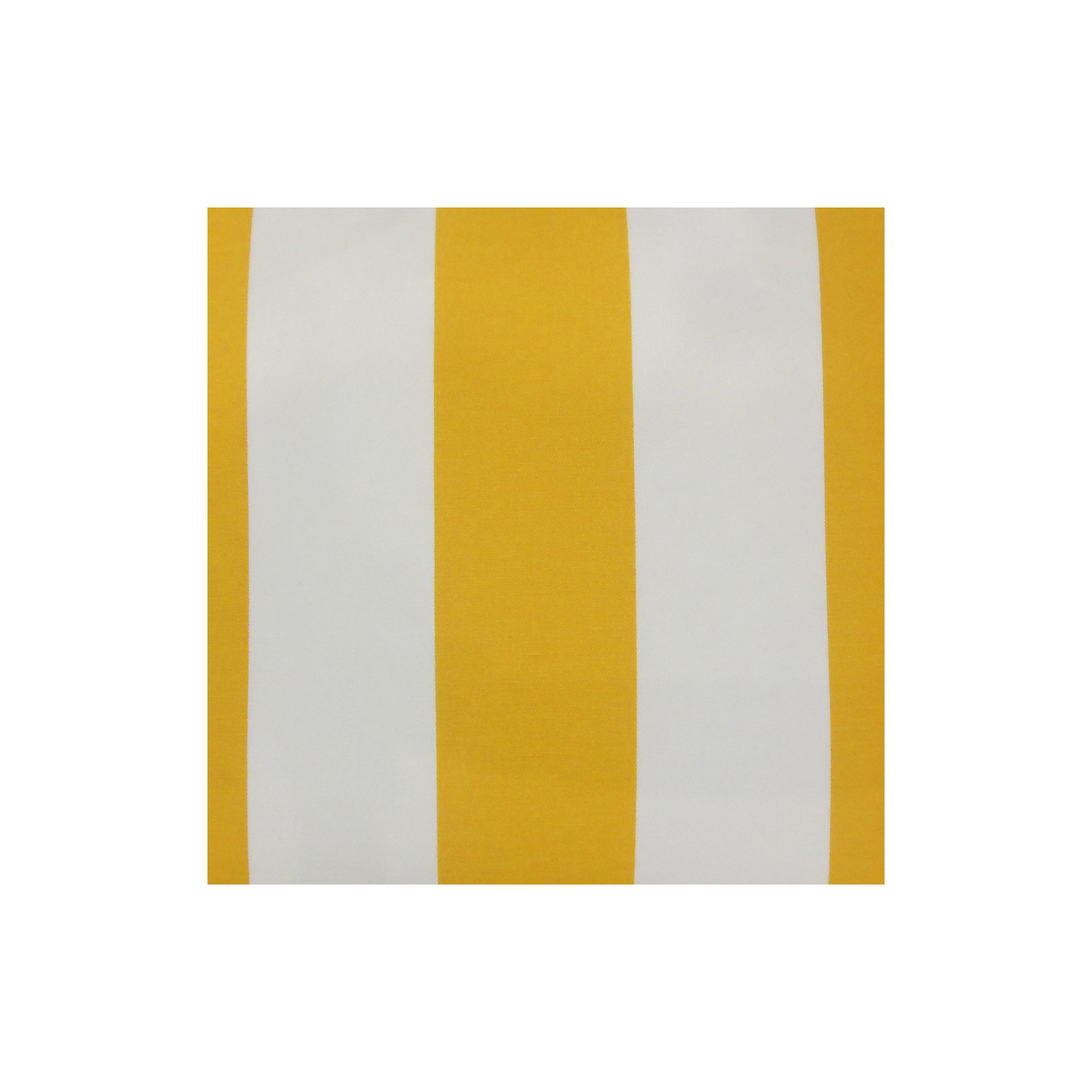 Throw Pillow, 18" H x 18" W x 5" D, Citrus