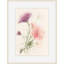 Plants & Flowers Print by Claudia Lowry-1660938886