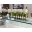 Hyancinths Floral Arrangement in Planter