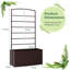 Alzada Metal Raised Garden Bed with Trellis