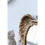22 "X 16" En Wing