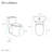 Sublime One Piece Elongated Toilet Dual Flush-99927470