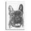 «French Bulldog 3» par Barbara Keith, impression non encadrée-865363005