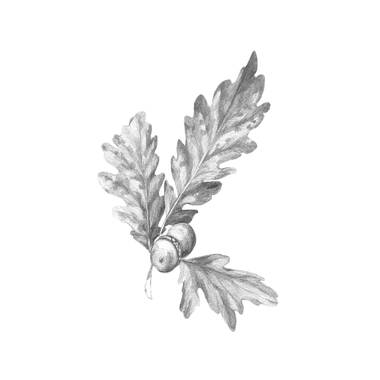 a faithful attempt: Leaves Observational Drawings