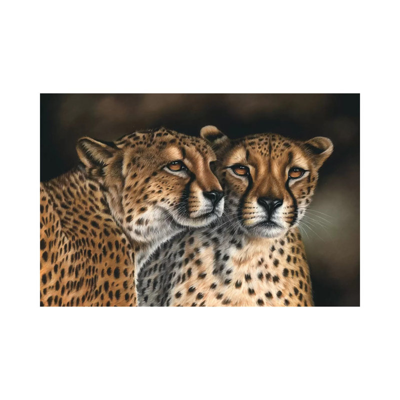 Cheetahs by Richard Macwee - Wrapped Canvas Print, 20.32 cm H x 30.48 cm W