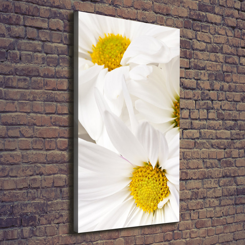 Daisies - Wrapped Canvas Print