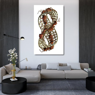 Mobius Strip II