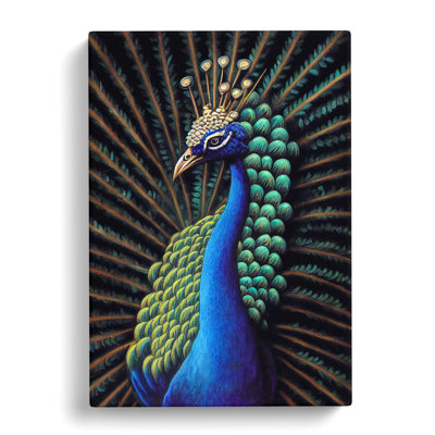Pretty Peacock - Wrapped Canvas