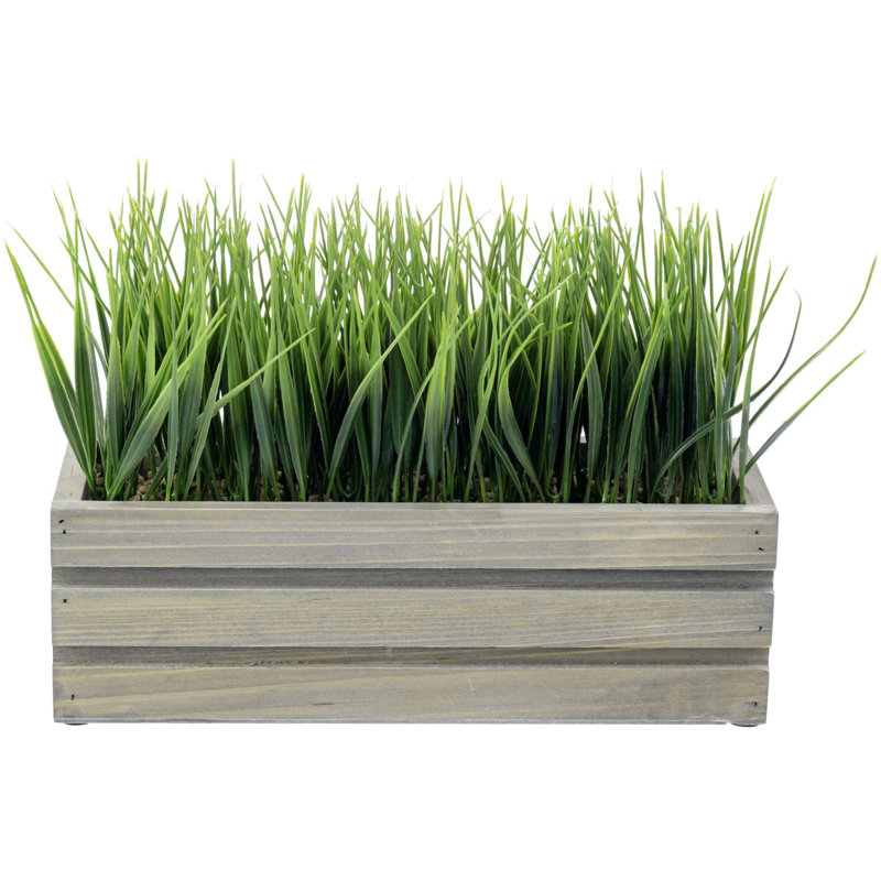 Johnone 22.09 cm Artificial Grass in Planter