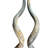 African Kudu Antelope Horn XXL