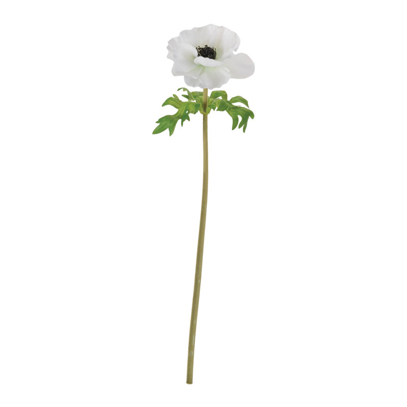 Anémone florale (ensemble de 6), Blanc, vert