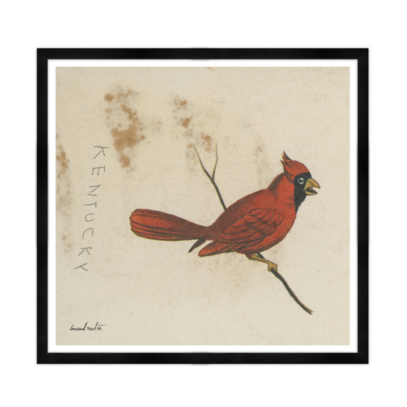 Cardinal Print, Black Framed