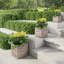 Pots à fleurs Rhoads - Pot à fleurs 3 - 15,1 po, 12,1 po et 9,6 po - Grands pots de fleurs d'extérieur - Pots de fleurs rustiques pour l'extérieur de Pure Garden 