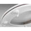 Devillage Soft Close Elongated Toilet Seat