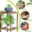 Support d'angle pour plantes d'intérieur