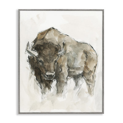 Buffalo Western American Brown Country Animal