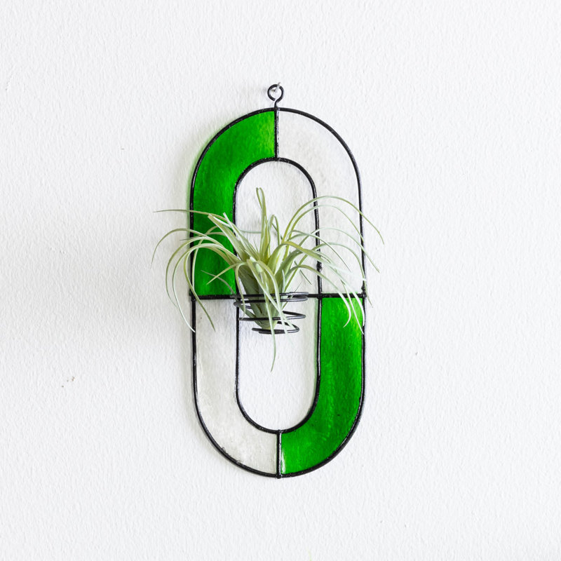 Vase de propagation en verre coloré