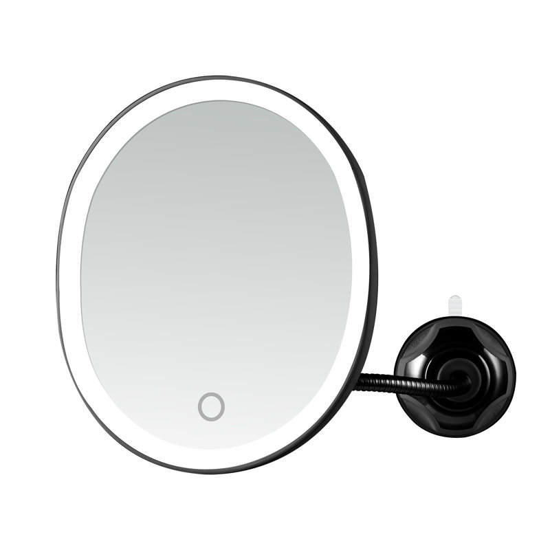 Antique Black Oval LED Wall Mounted Magnifying Mirror