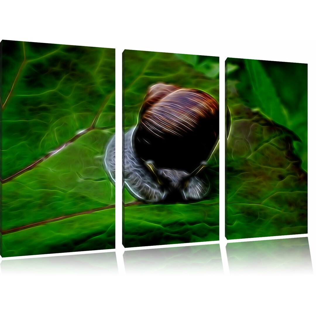 3-tlg. Leinwandbilder-Set „Kleine Schnecke mit Schneckenhaus“, Grafikdruck