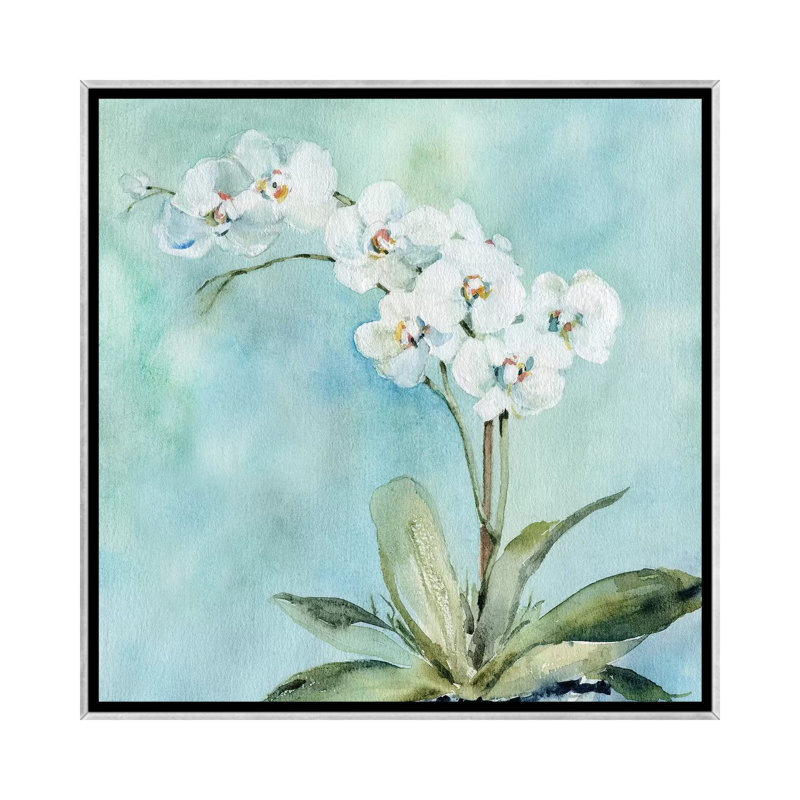 Orchidée ensoleillée par Carol Robinson-impression, Pas de tapis, H 18 po x l 18 po x 1,5 po, Toile avec cadre argenté