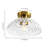Moncia 1 - Light Glass Flush Mount Ceiling Light-36170010