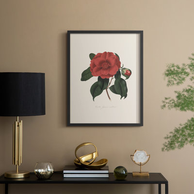 Impression florale vintage encadrée CXC III - bois massif