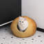 Lit ovale pour chat