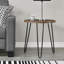 Calista End Table-1318718168