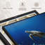 «Turtle Adventure», reproduction sur toile-102858056