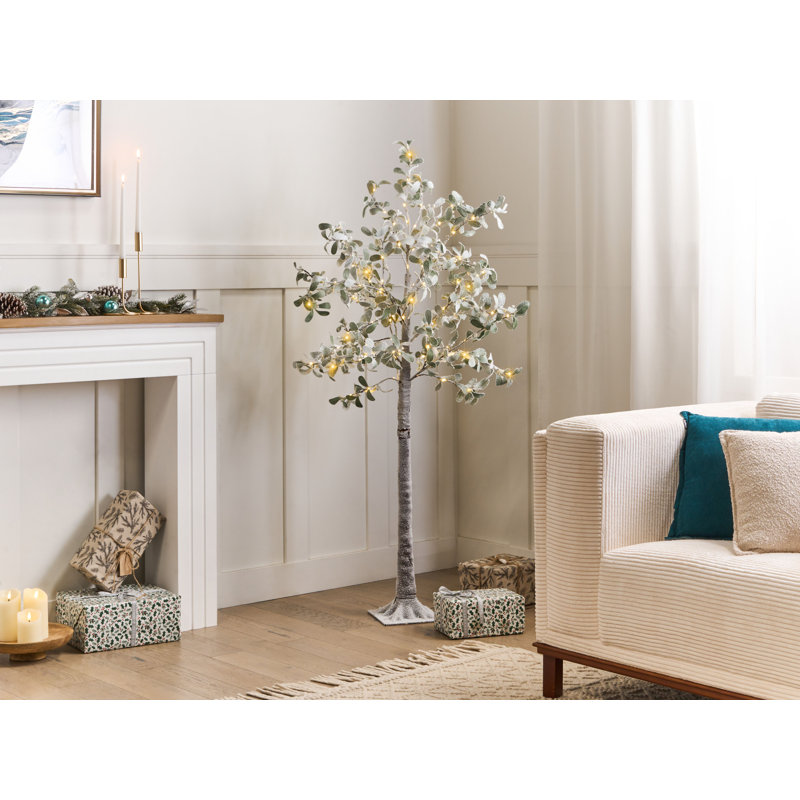 150cm Plant
