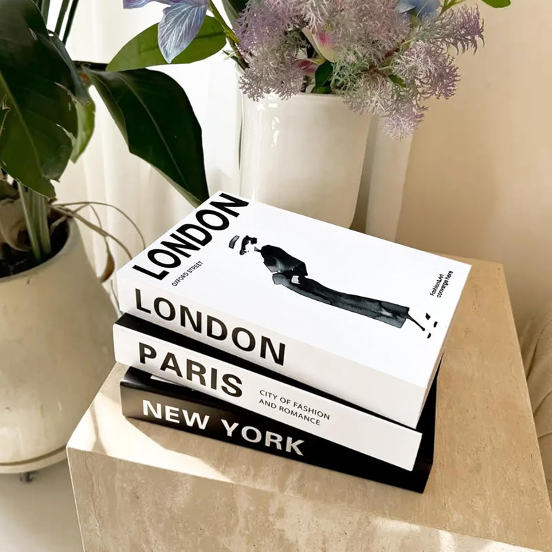 3 livres décoratifs pour décoration de table basse