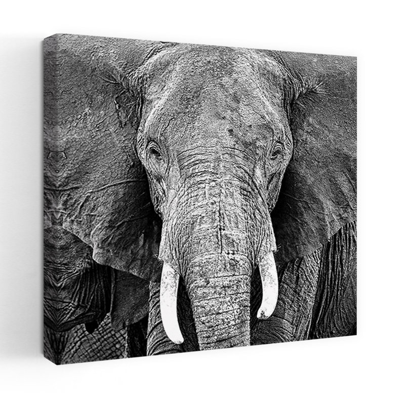 Éléphant, art contemporain de la faune, H 18 po x l 18 po