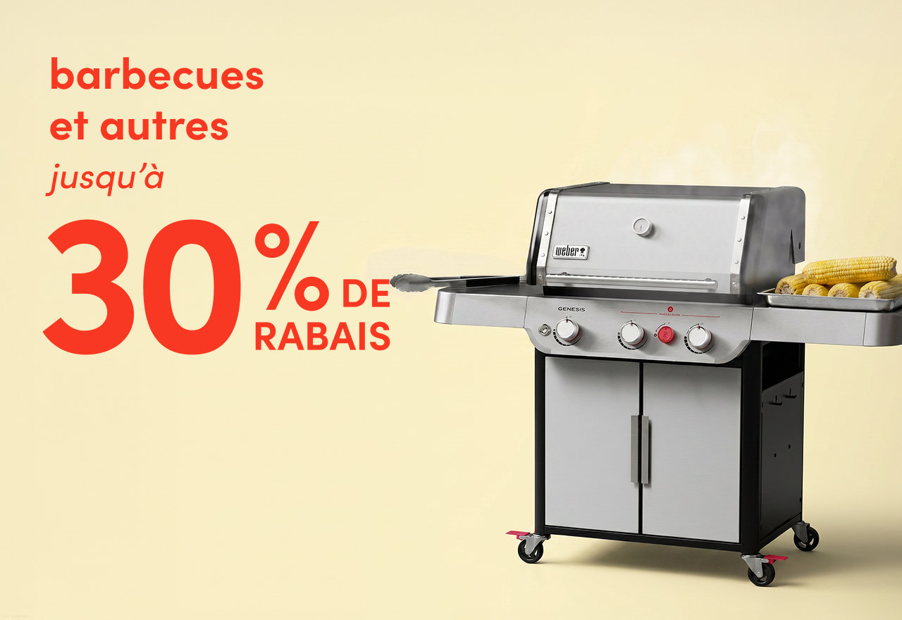 barbecues et autres en solde