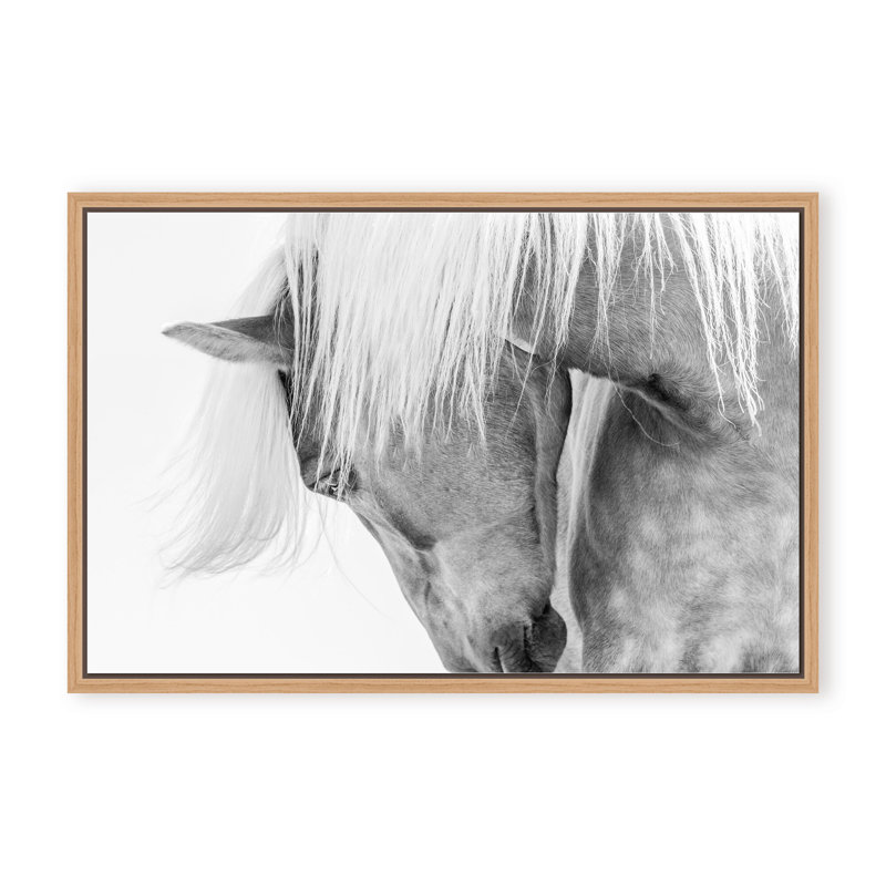 Nature Inspired Halflinger Portrait by  - Picture Frame Photograph on Paper, 24" H x 36" W x 1.125" D, Black