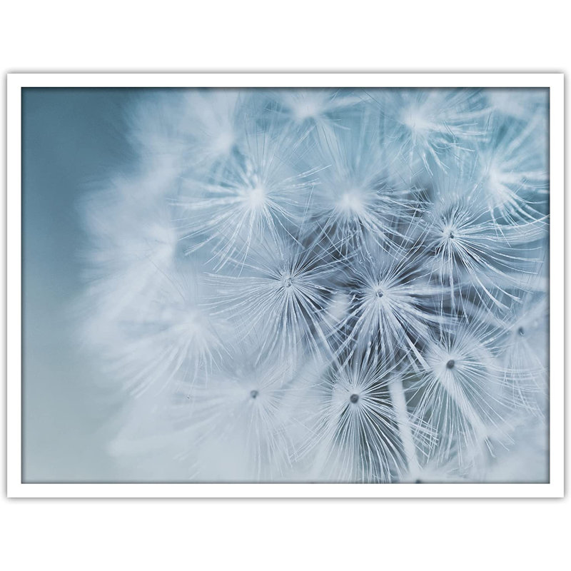 Détaillé, pissenlit blanc Bokeh - cadre photo, Blanc