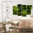 Harnek Jungle Ferns