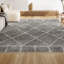 Tapis gris / ivoire Cantera-780537128