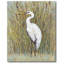 « white aigrette i », impression sur toile tendue