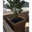 Square Planter