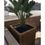 Wood Planter