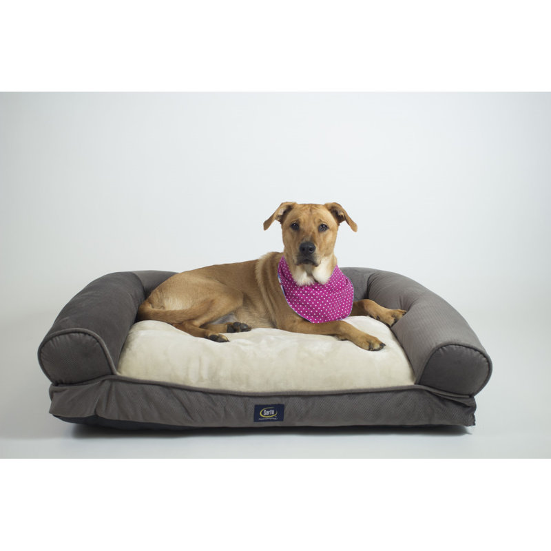 Serta Memory Foam Couch Bed, 36" W x 27" D x 8" H, Gray