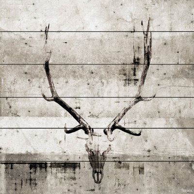 " Long Antlers " by Parvez Taj