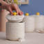 Daisy Ceramic Food Storage Container