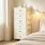 6 -Drawer Storage Cabinet