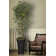 Aislin 72" Artificial Bamboo Tree in Planter