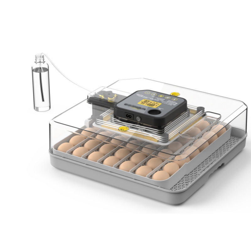 48 Incubateurs avec retournement automatique des œufs, contrôle de l'humidité et alimentation en eau avec affichage de la température, 360 ° Incubateur à volaille pour œufs de poule, de canard, de caille et de perroquet