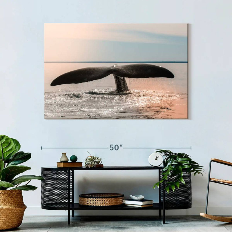Queue de baleine de Patagonie, H 32 po x l 48 po